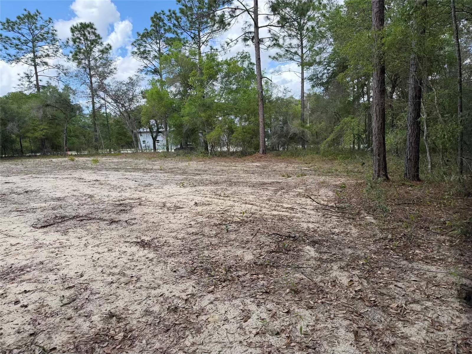 105 RACE ST, HAWTHORNE, FL, 32640