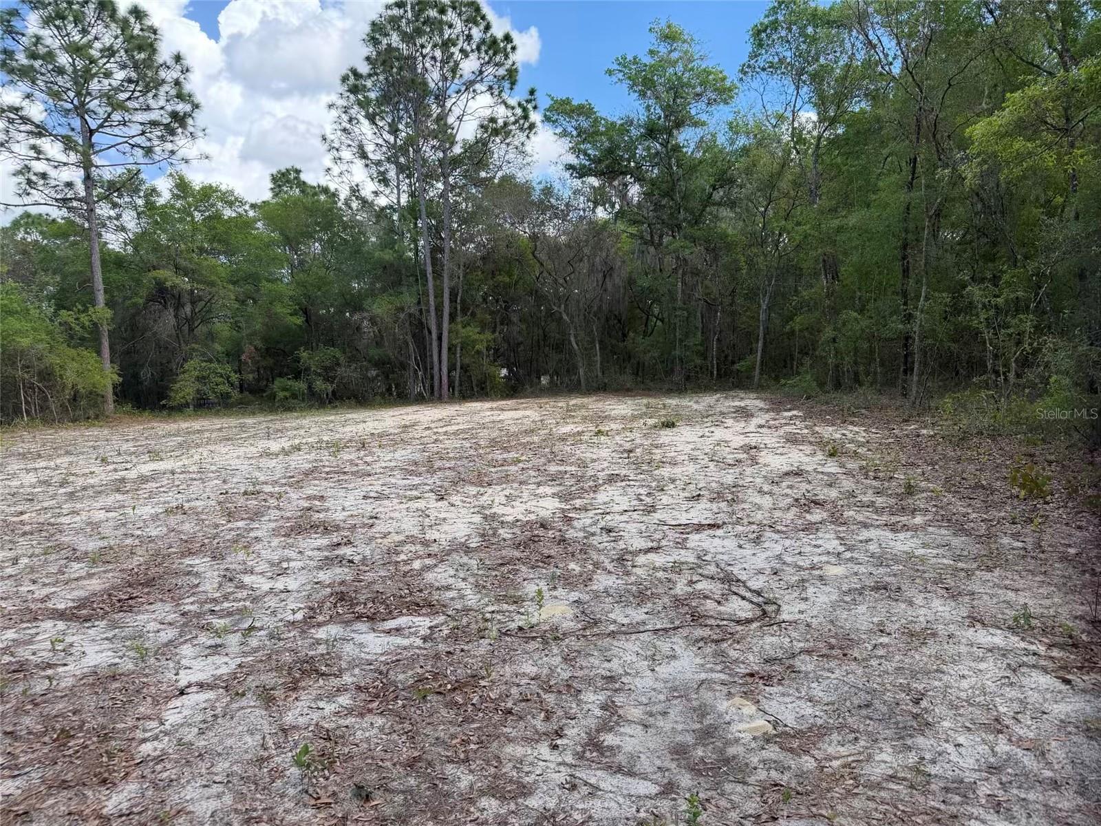 105 RACE ST, HAWTHORNE, FL, 32640