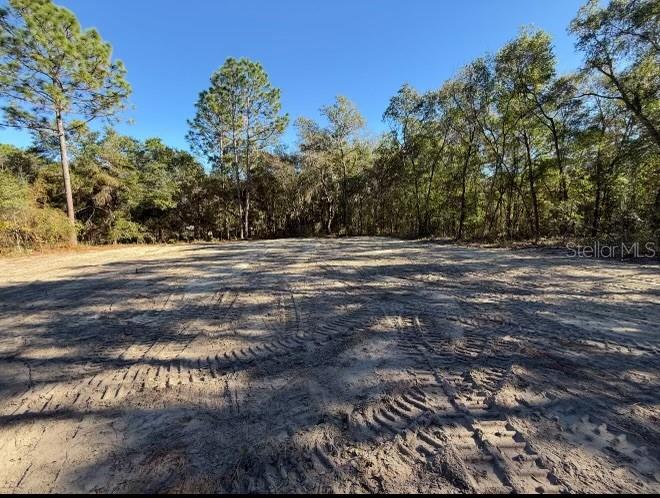 105 RACE ST, HAWTHORNE, FL, 32640