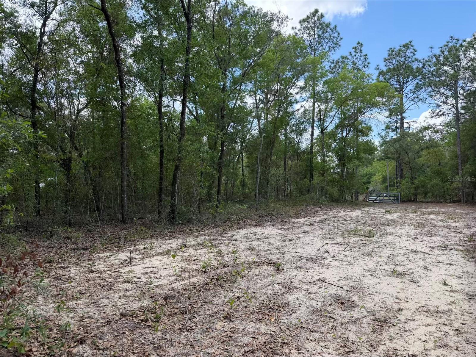 105 RACE ST, HAWTHORNE, FL, 32640