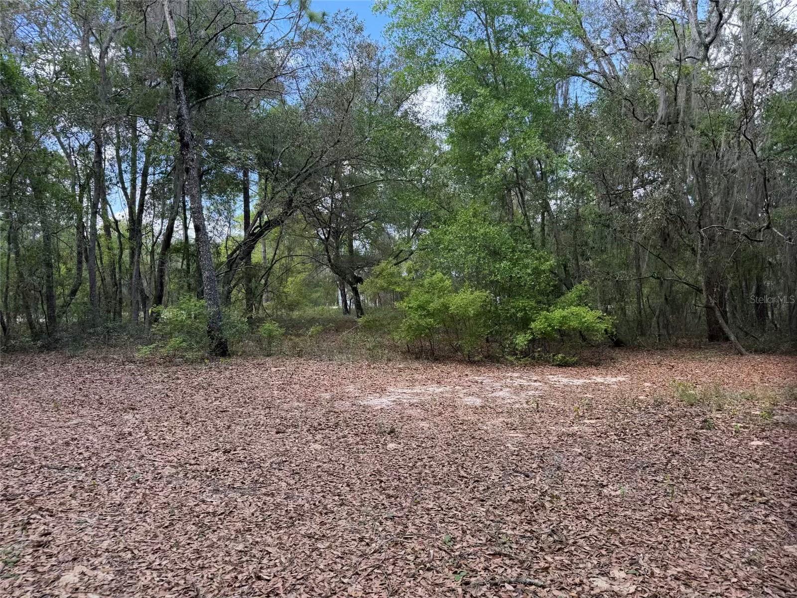 105 RACE ST, HAWTHORNE, FL, 32640