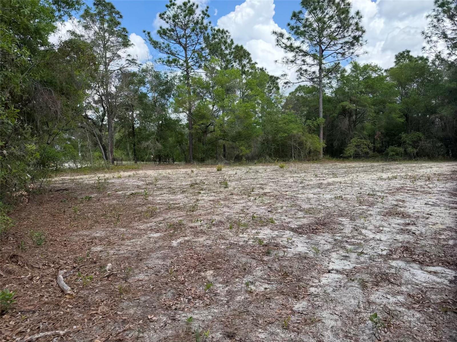 105 RACE ST, HAWTHORNE, FL, 32640