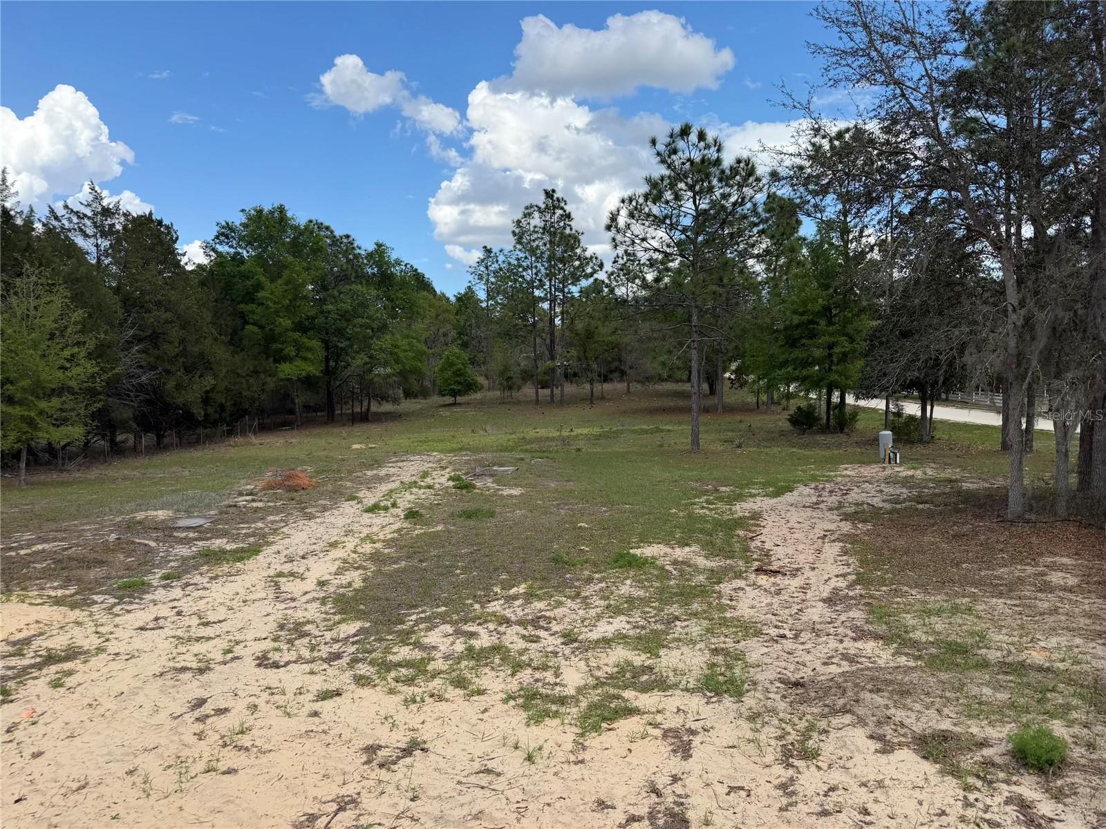 11631 NE 105TH AVE, ARCHER, FL, 32618