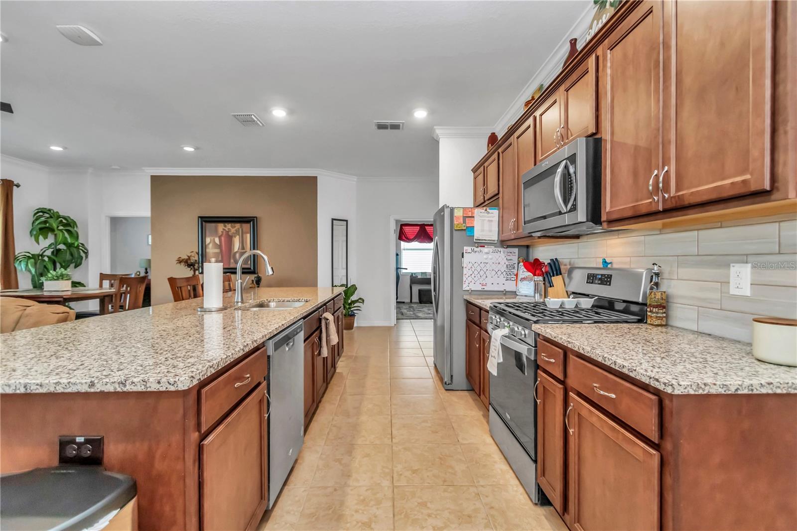 10019 SW 96TH ST, OCALA, FL, 34481