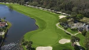11504 CROWNED SPARROW LN, TAMPA, FL, 33626