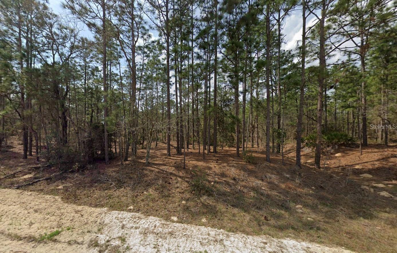 00 SW 137TH CT, OCALA, FL, 34481