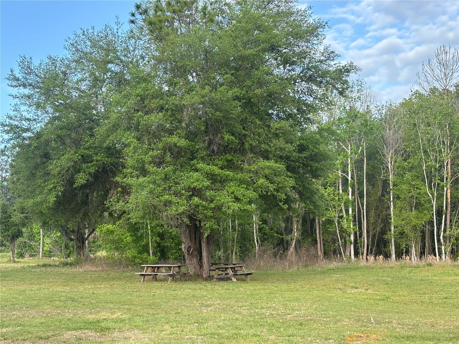 SE HAWTHORNE RD, HAWTHORNE, FL, 32640