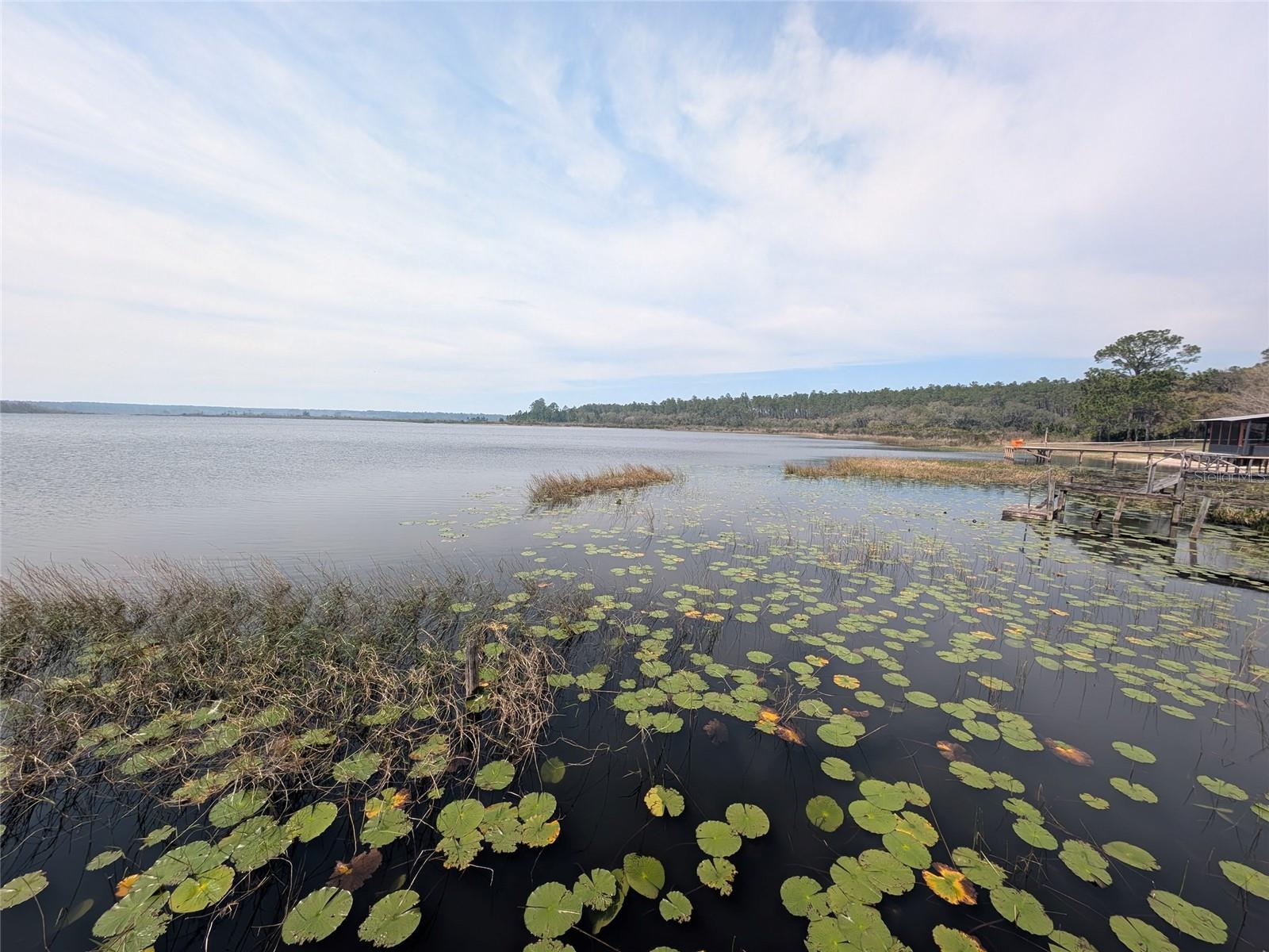 23797 NE 189TH ST, FORT MC COY, FL, 32134