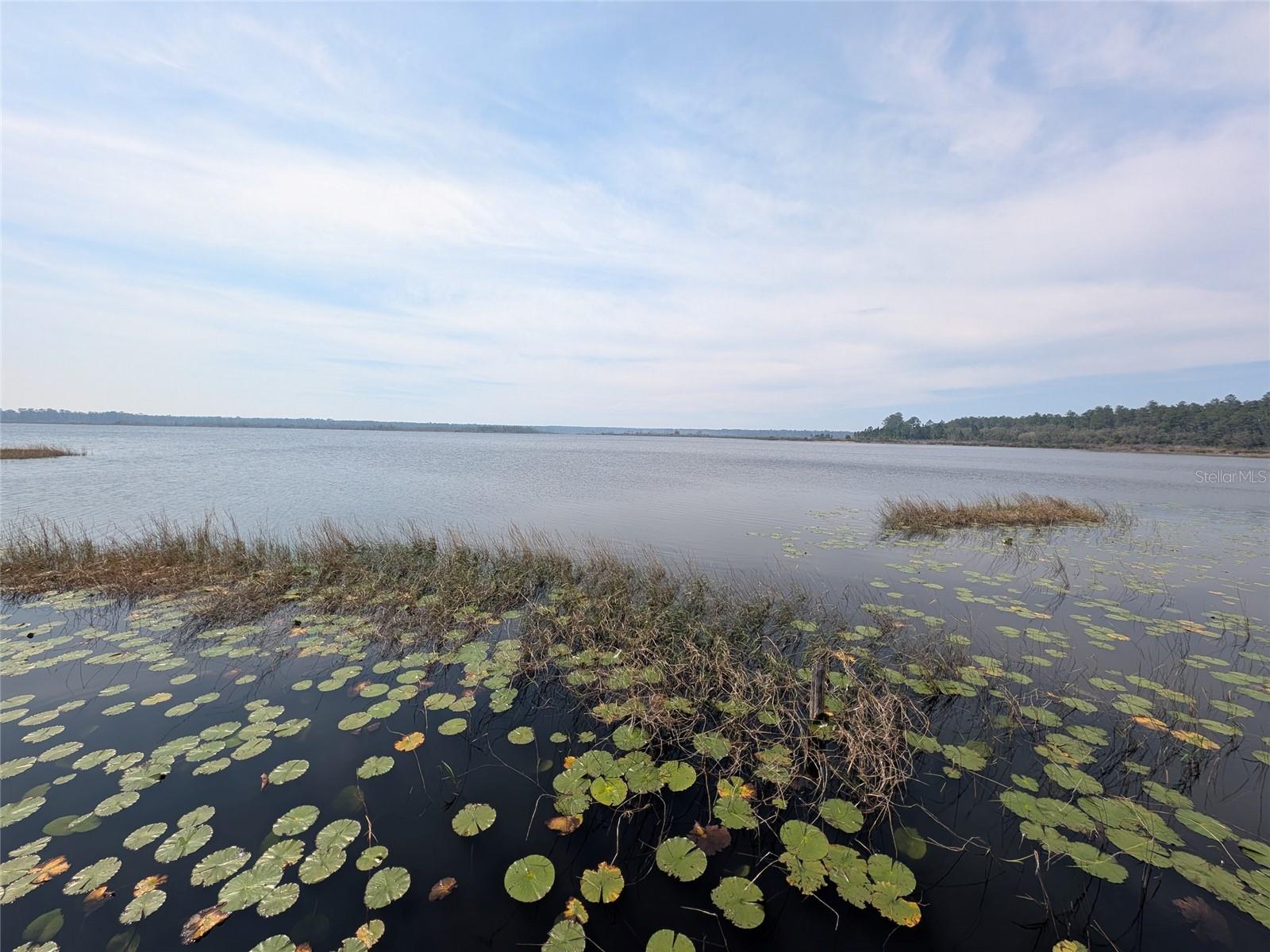 23797 NE 189TH ST, FORT MC COY, FL, 32134