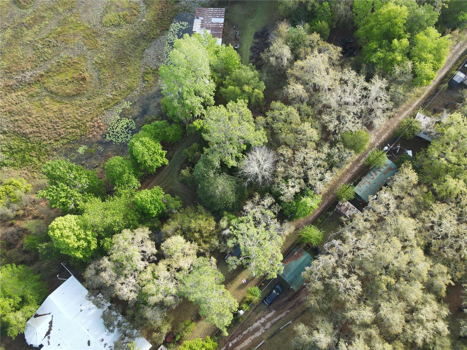 23797 NE 189TH ST, FORT MC COY, FL, 32134