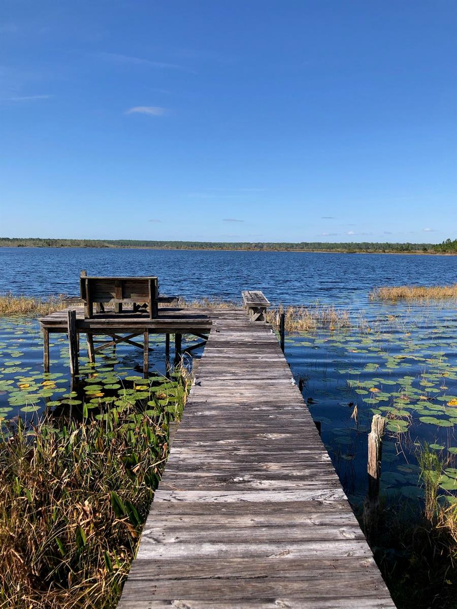 23797 NE 189TH ST, FORT MC COY, FL, 32134