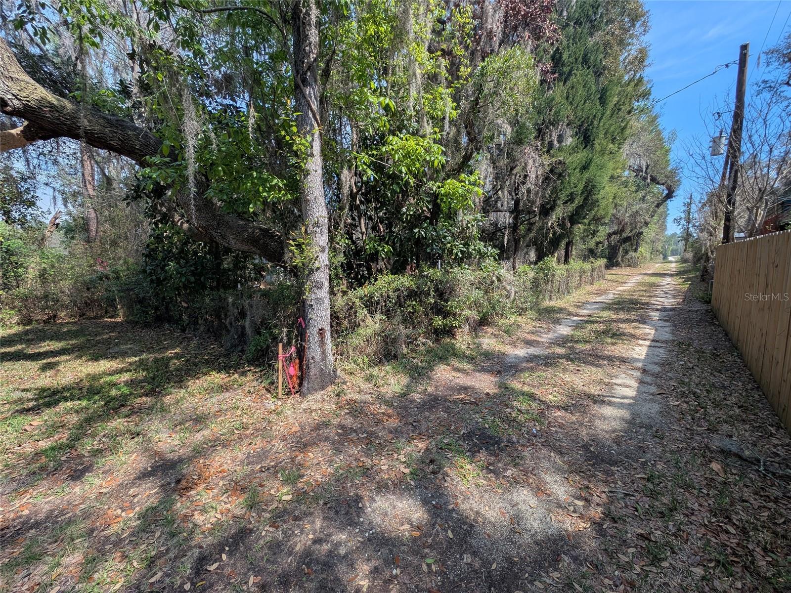 23797 NE 189TH ST, FORT MC COY, FL, 32134