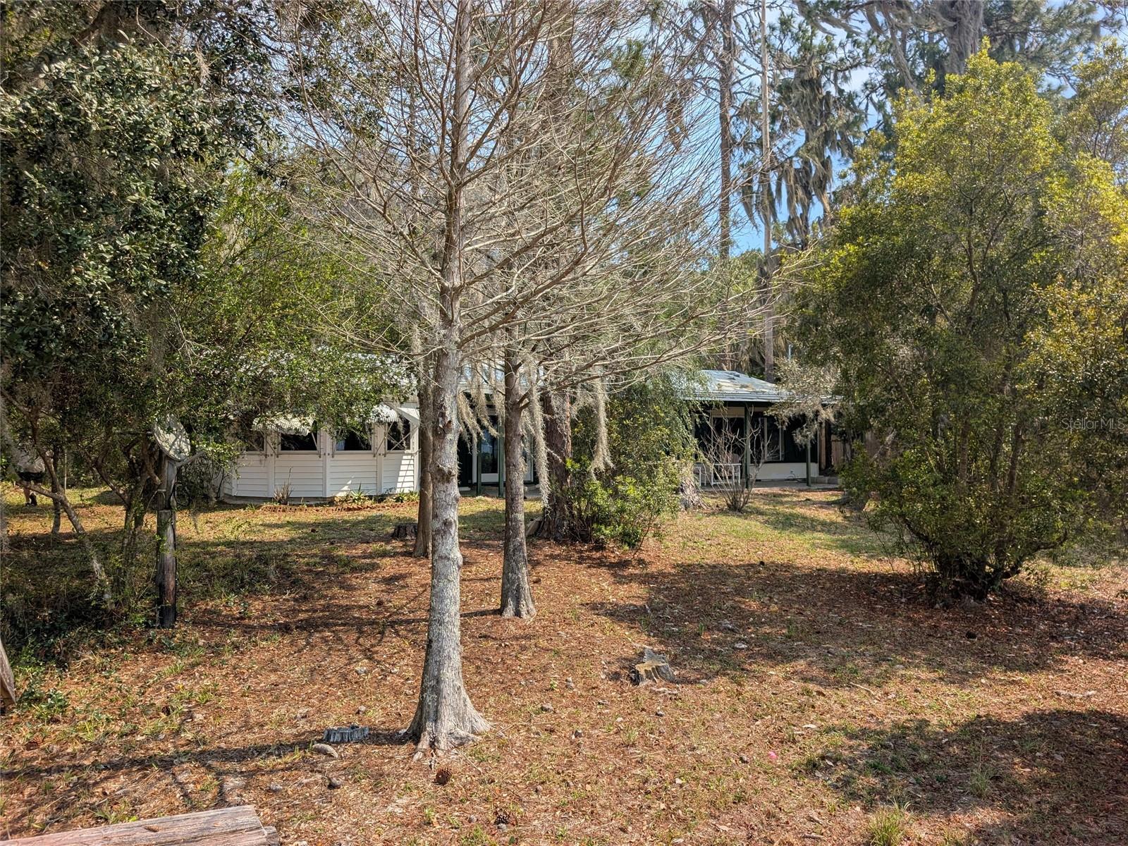 23797 NE 189TH ST, FORT MC COY, FL, 32134