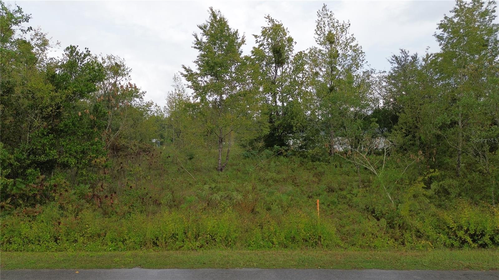 1917 NW 4TH ST, OCALA, FL, 34471