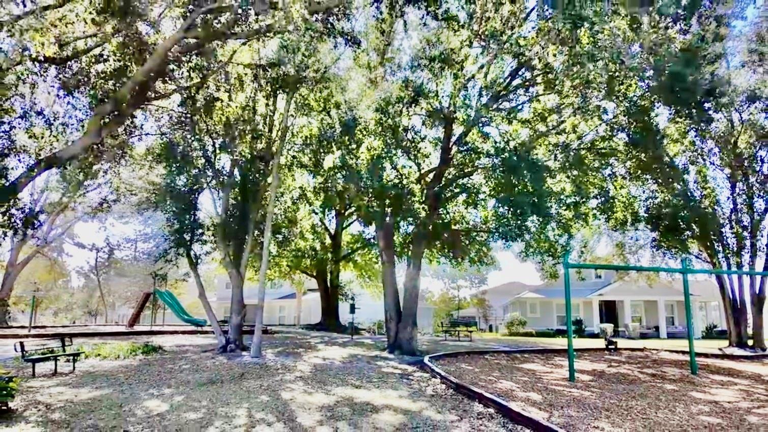 2208 GOPHER TORTOISE TER, OAKLAND, FL, 34787