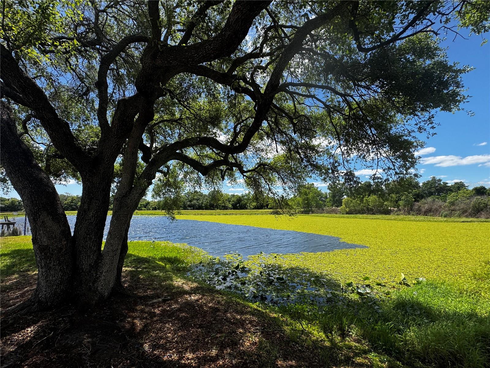 1310 ROLLING WOODS LN, LAKELAND, FL, 33813