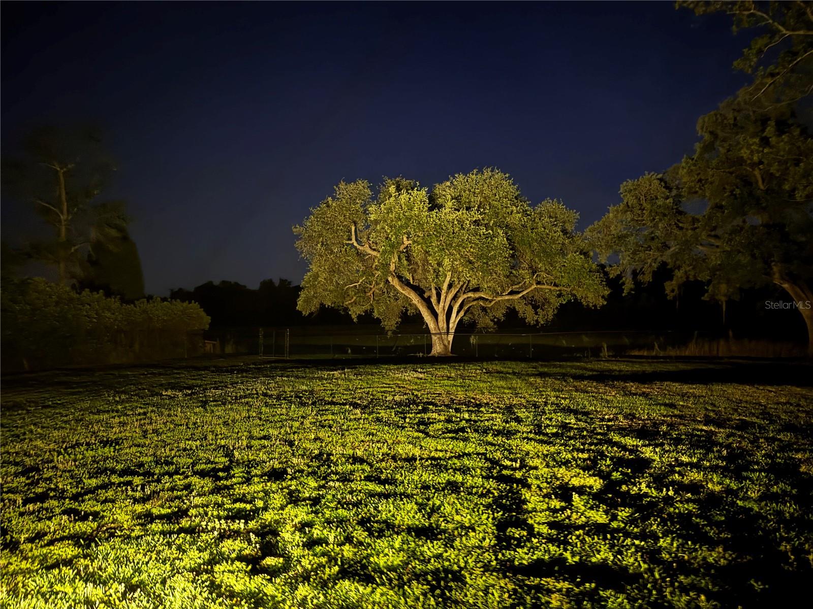 1310 ROLLING WOODS LN, LAKELAND, FL, 33813