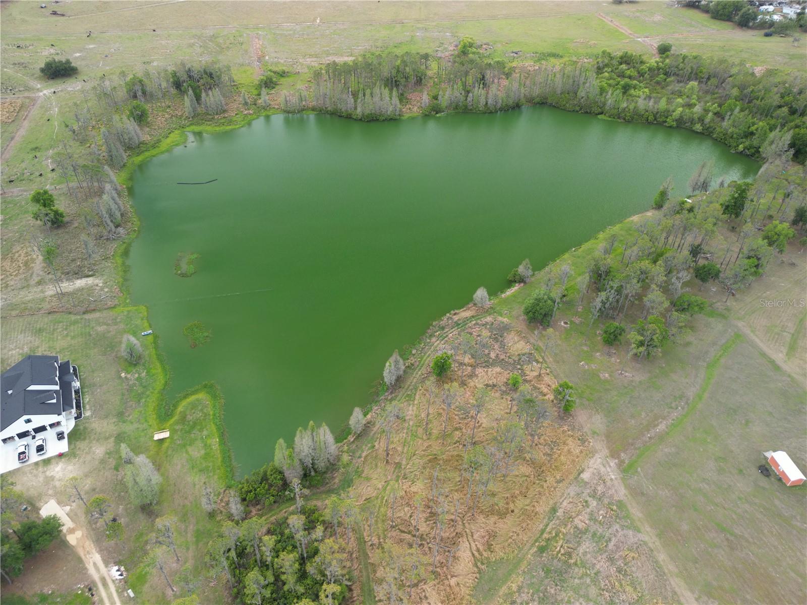 TBD TIMBERS DR, FORT MEADE, FL, 33841