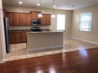 20012 OAKFLOWER AVE, TAMPA, FL, 33647