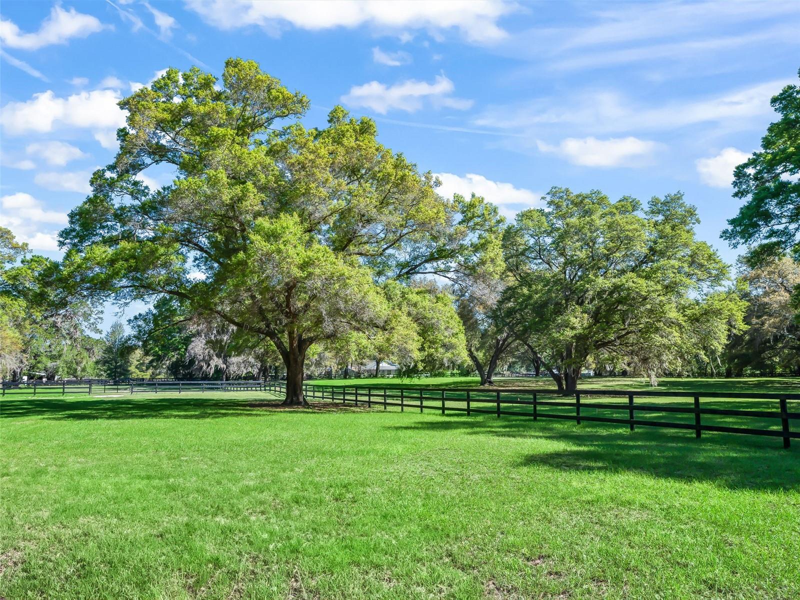 2 CARRY BACK ROAD, OCALA, FL, 34482