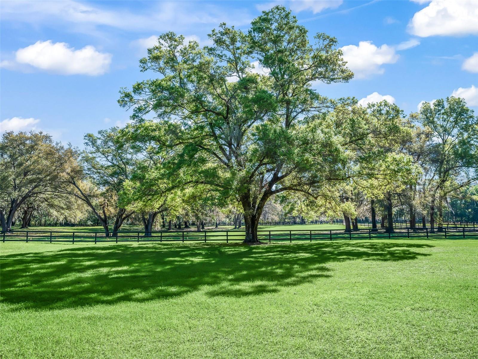 2 CARRY BACK ROAD, OCALA, FL, 34482