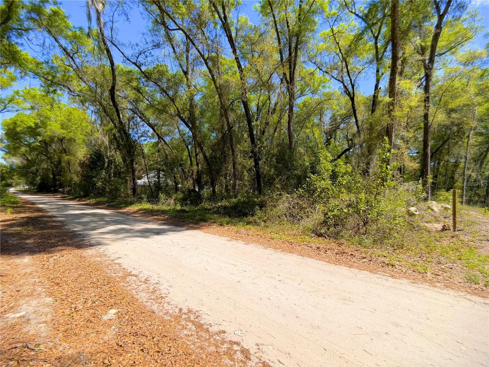 TBD CORNER LOT SE 147TH PL, SUMMERFIELD, FL, 34491