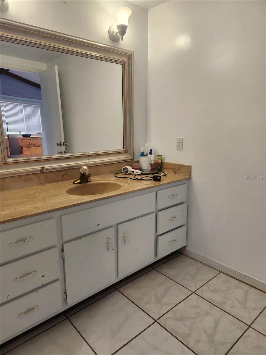 22380 NE 112TH TER, FORT MC COY, FL, 32134