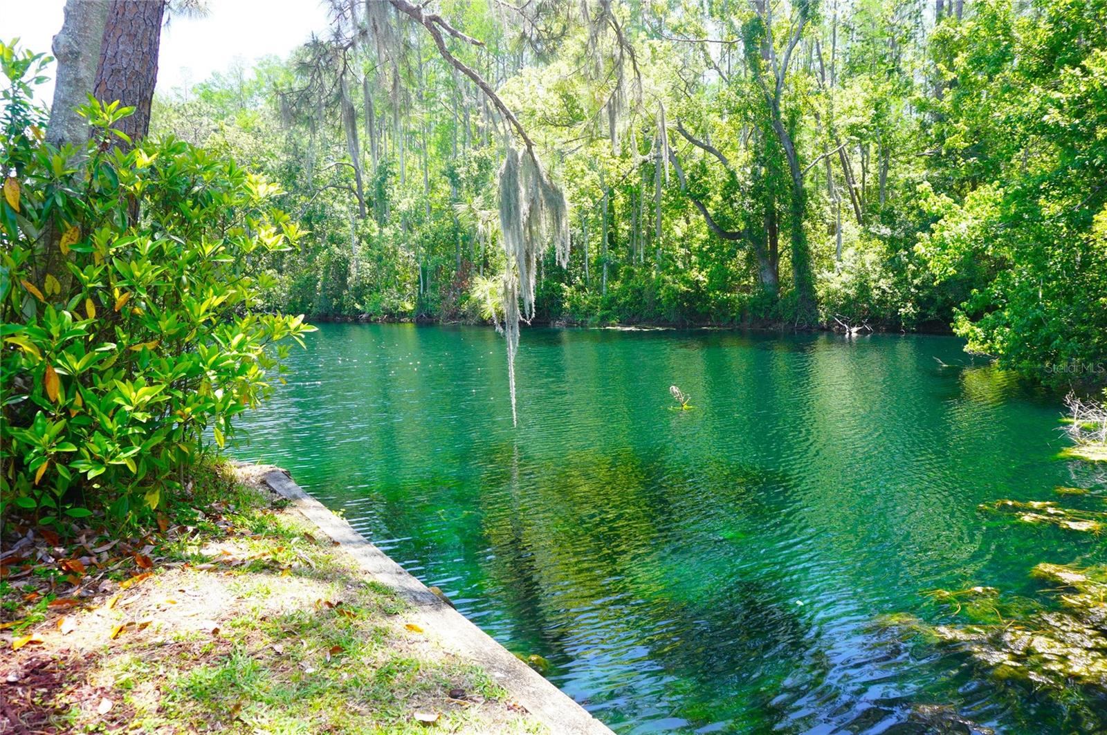 1873 MAZO MNR #T9, LUTZ, FL, 33558