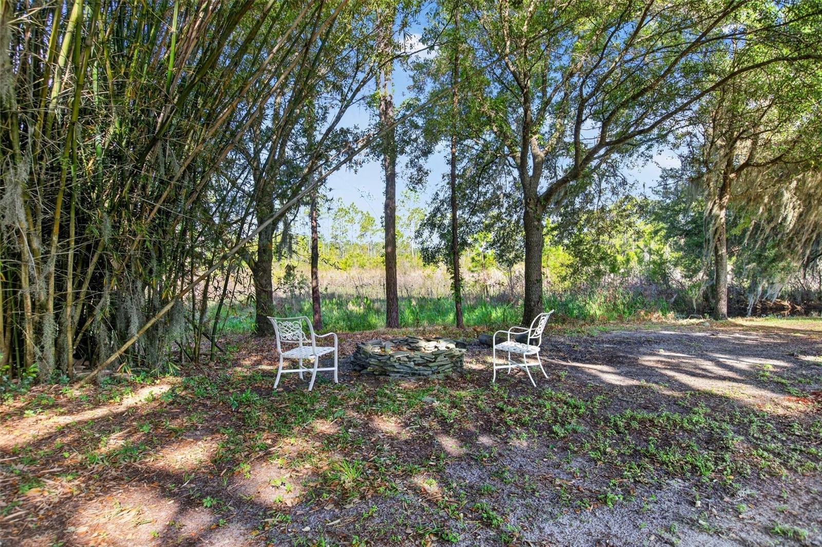 10107 TWEEN WATERS ST, CLERMONT, FL, 34715