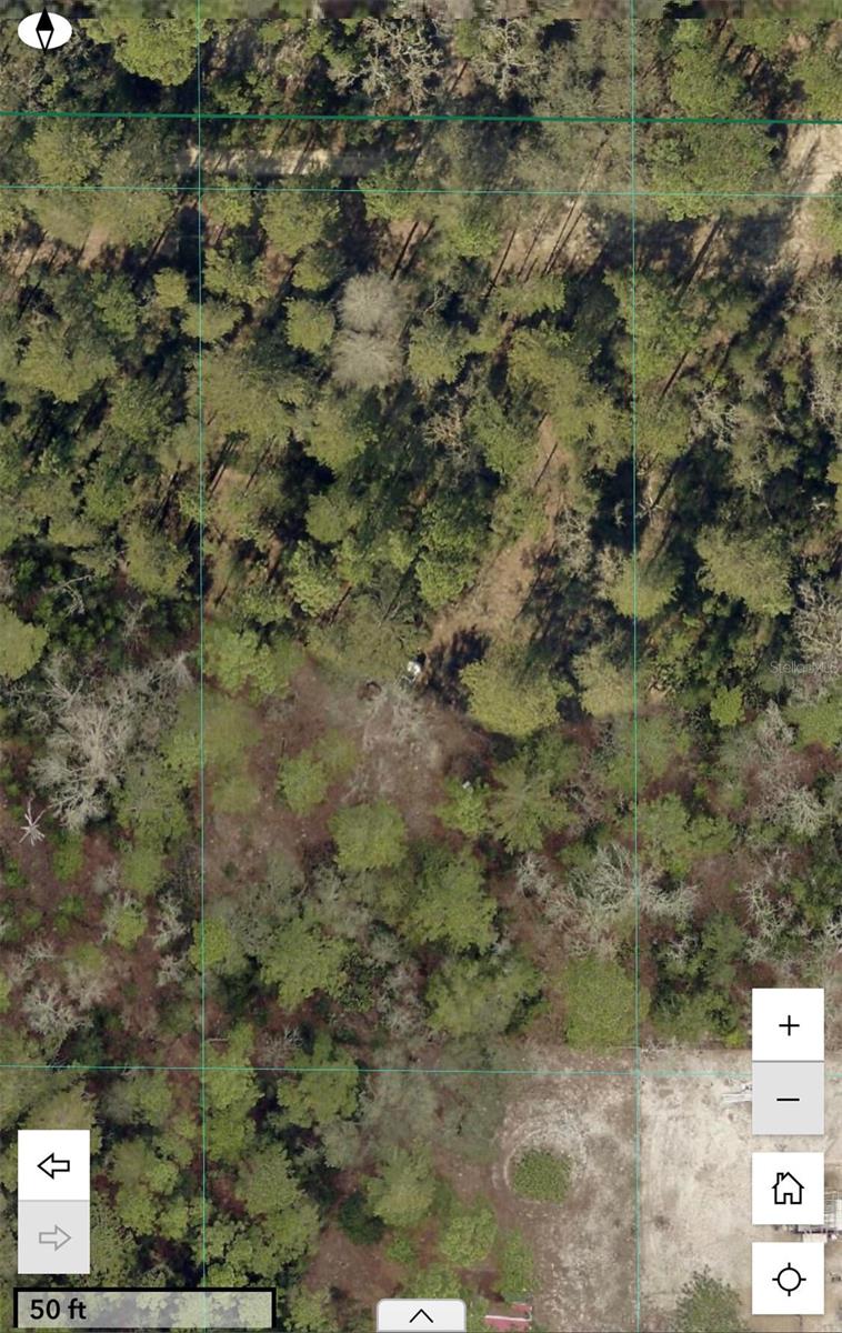 SW 156TH PL #0, DUNNELLON, FL, 34432