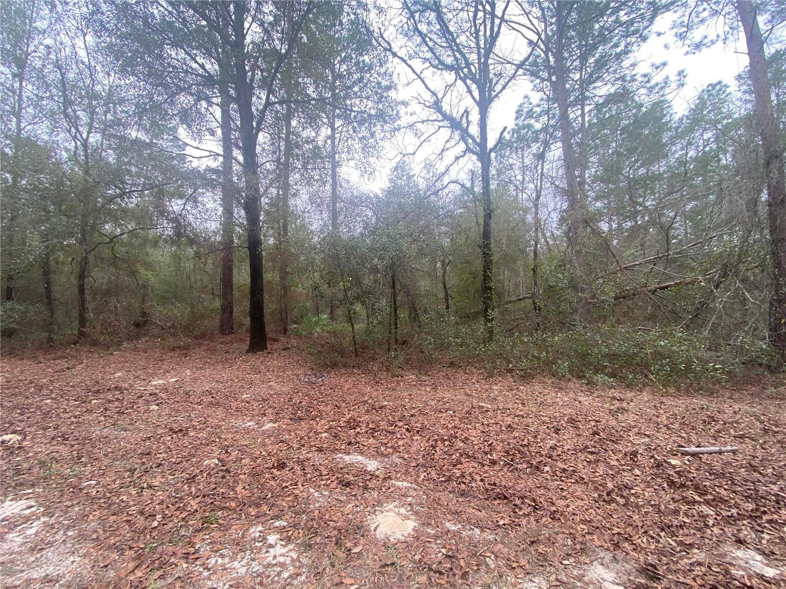 SW 156TH PL #0, DUNNELLON, FL, 34432