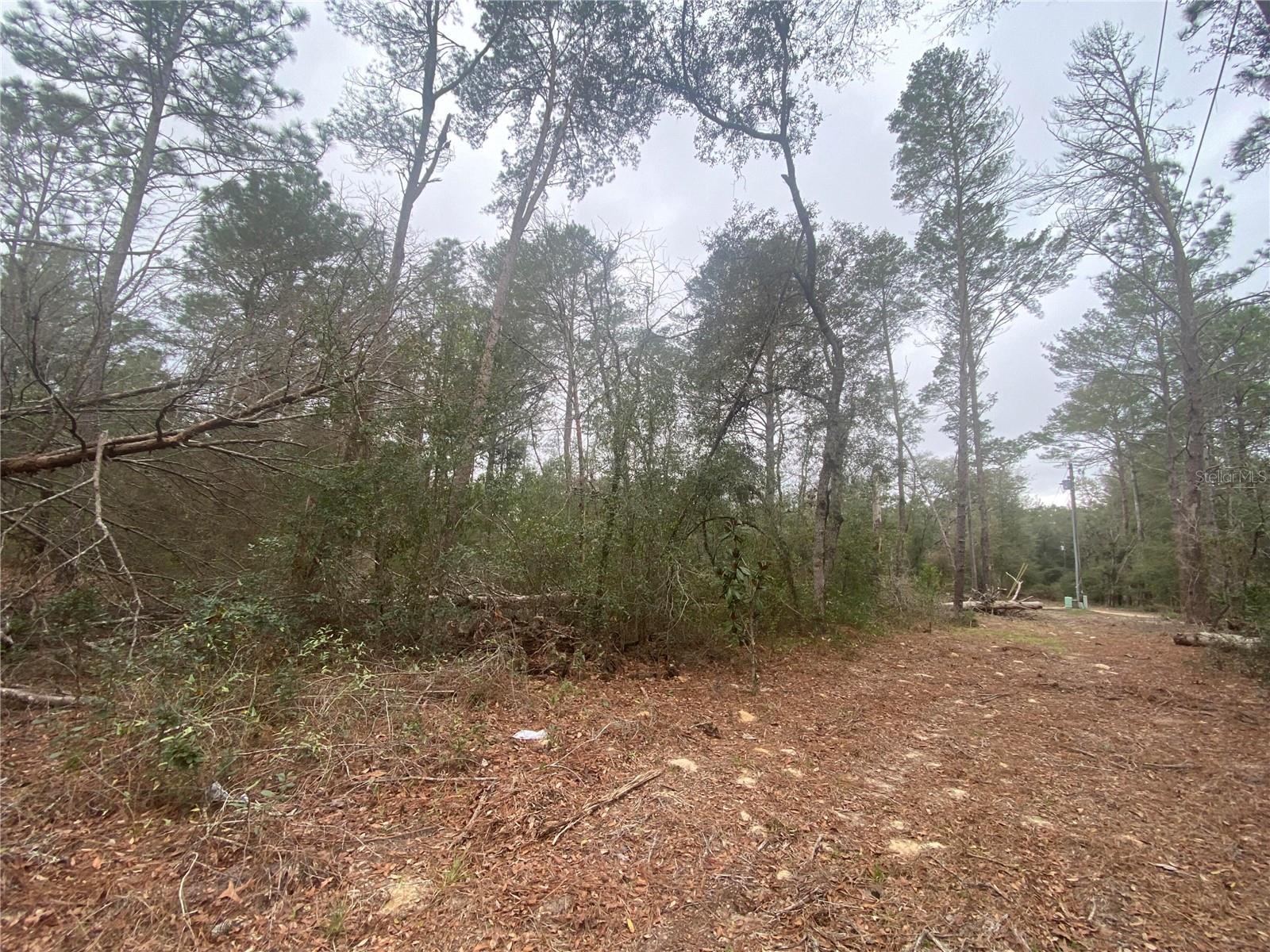 SW 156TH PL #0, DUNNELLON, FL, 34432