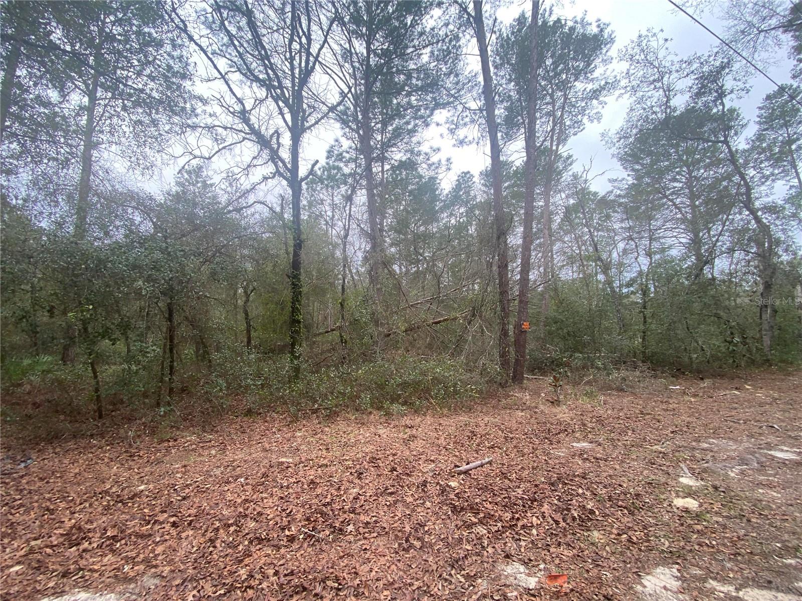 SW 156TH PL #0, DUNNELLON, FL, 34432