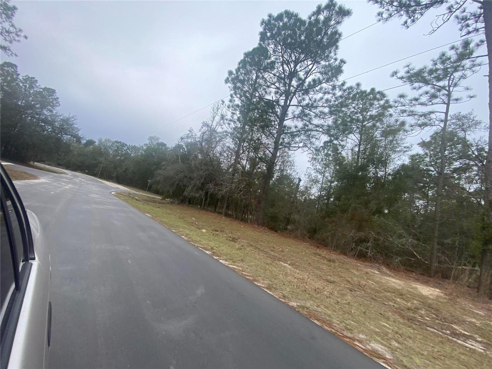SW 156TH PL #0, DUNNELLON, FL, 34432