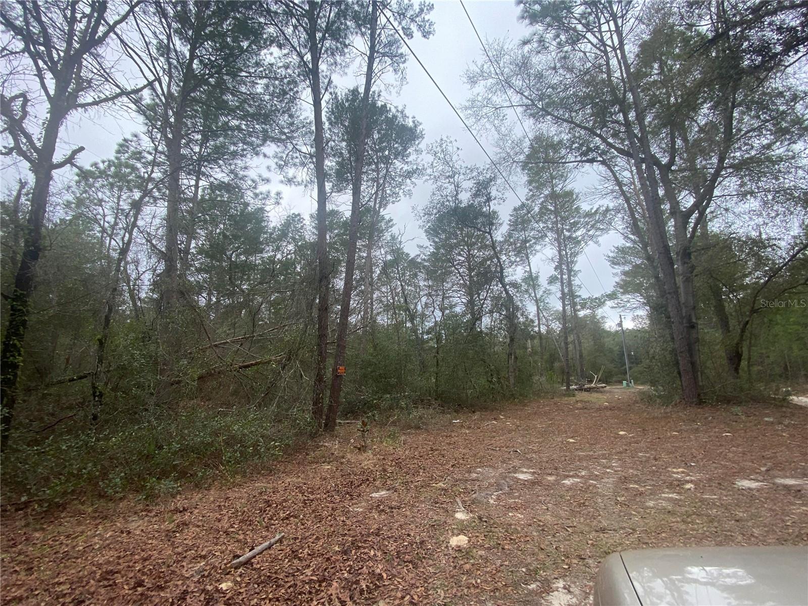SW 156TH PL #0, DUNNELLON, FL, 34432