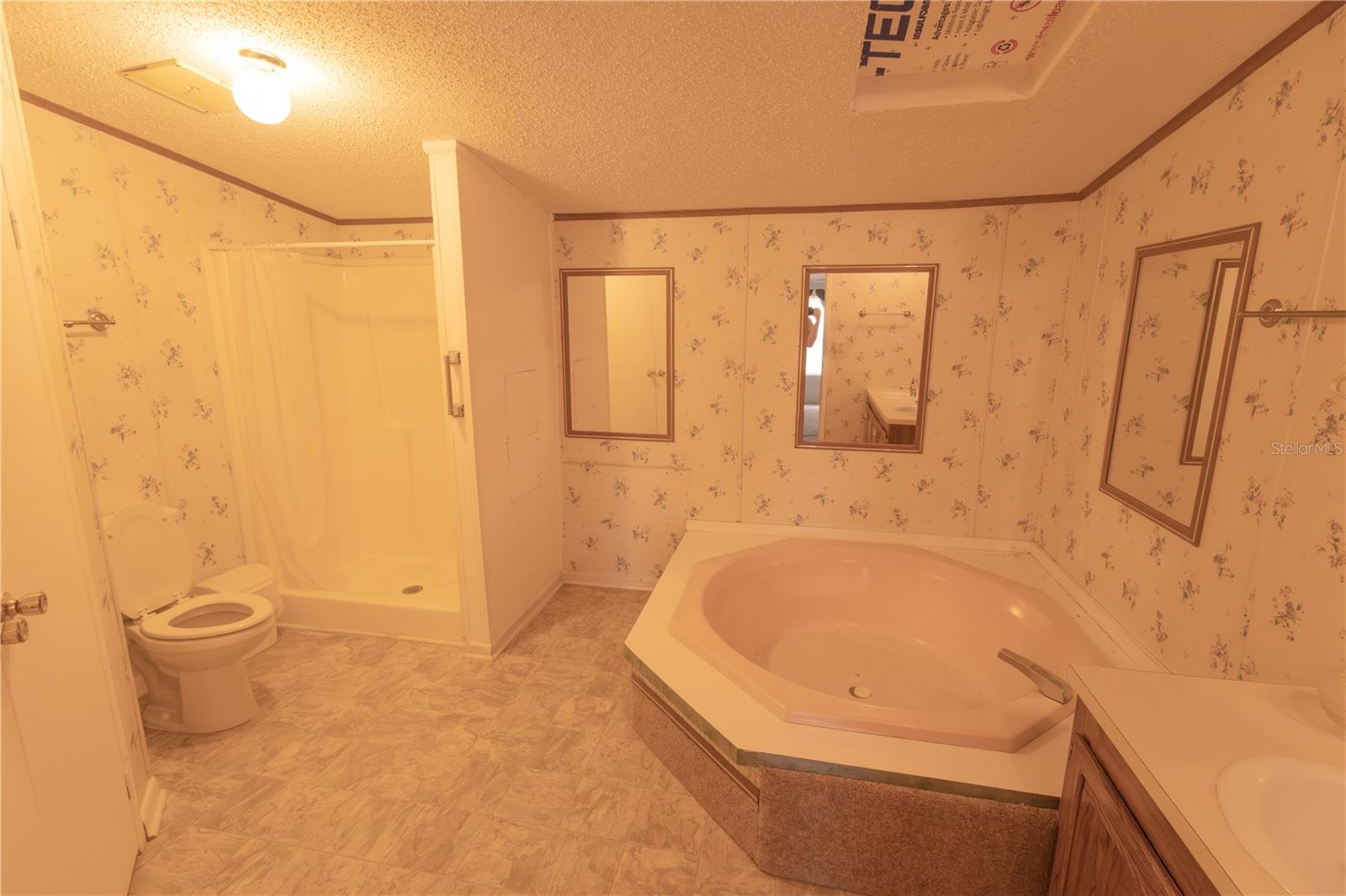 1670 BELMONT AVE, MULBERRY, FL, 33860