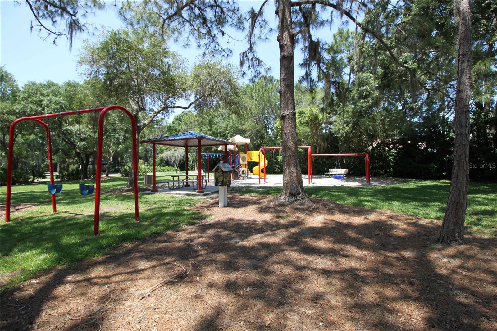 3692 JOHNATHON AVE, PALM HARBOR, FL, 34685
