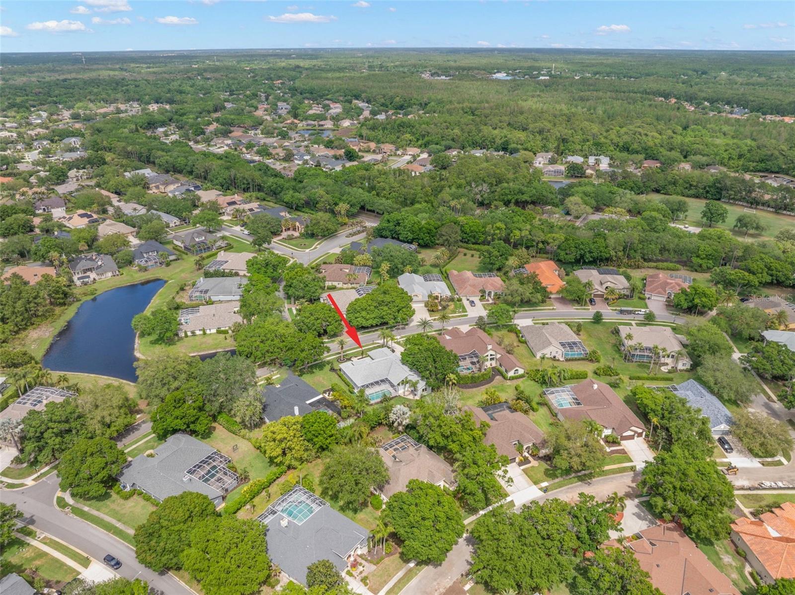 3692 JOHNATHON AVE, PALM HARBOR, FL, 34685