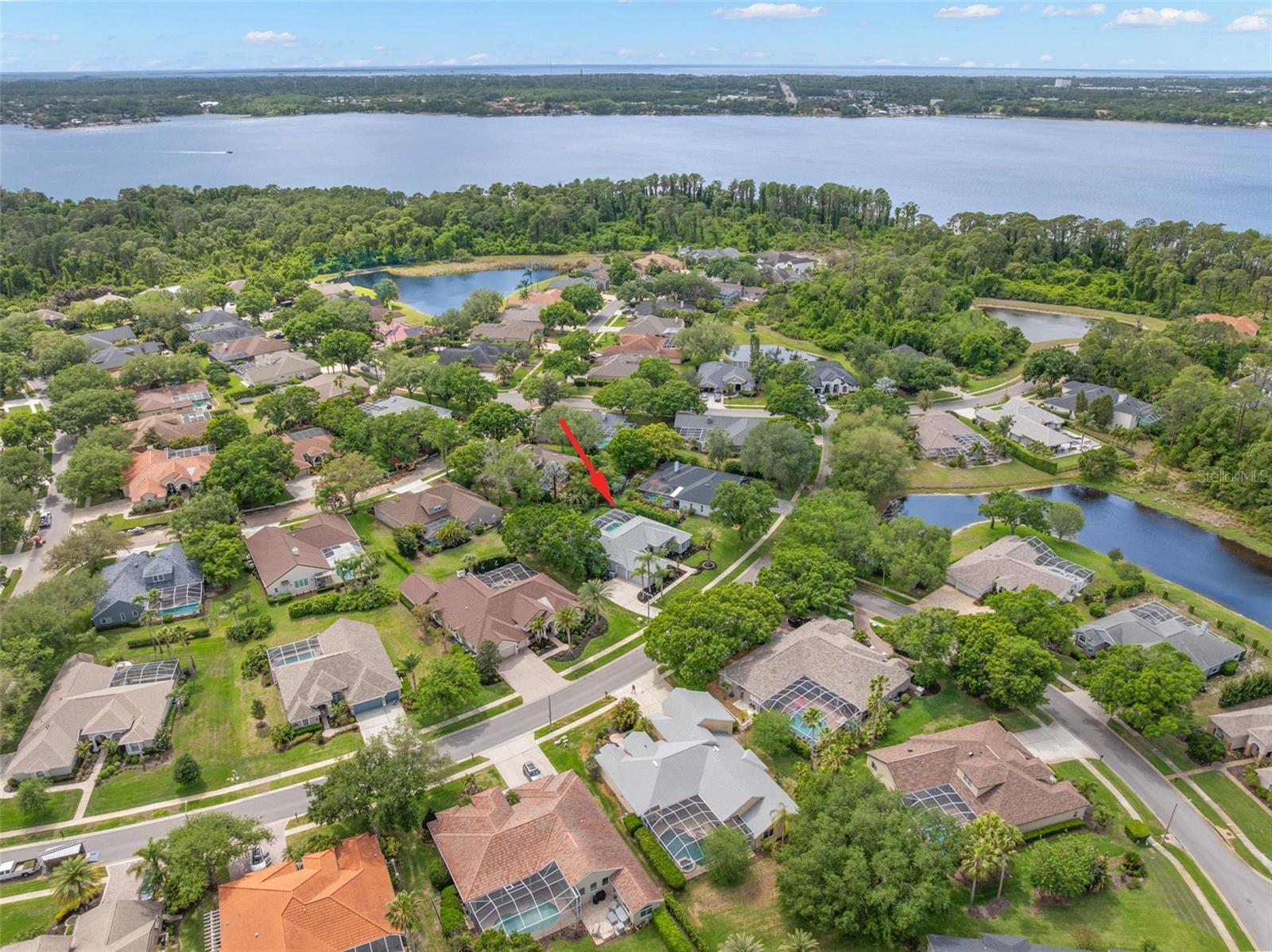 3692 JOHNATHON AVE, PALM HARBOR, FL, 34685