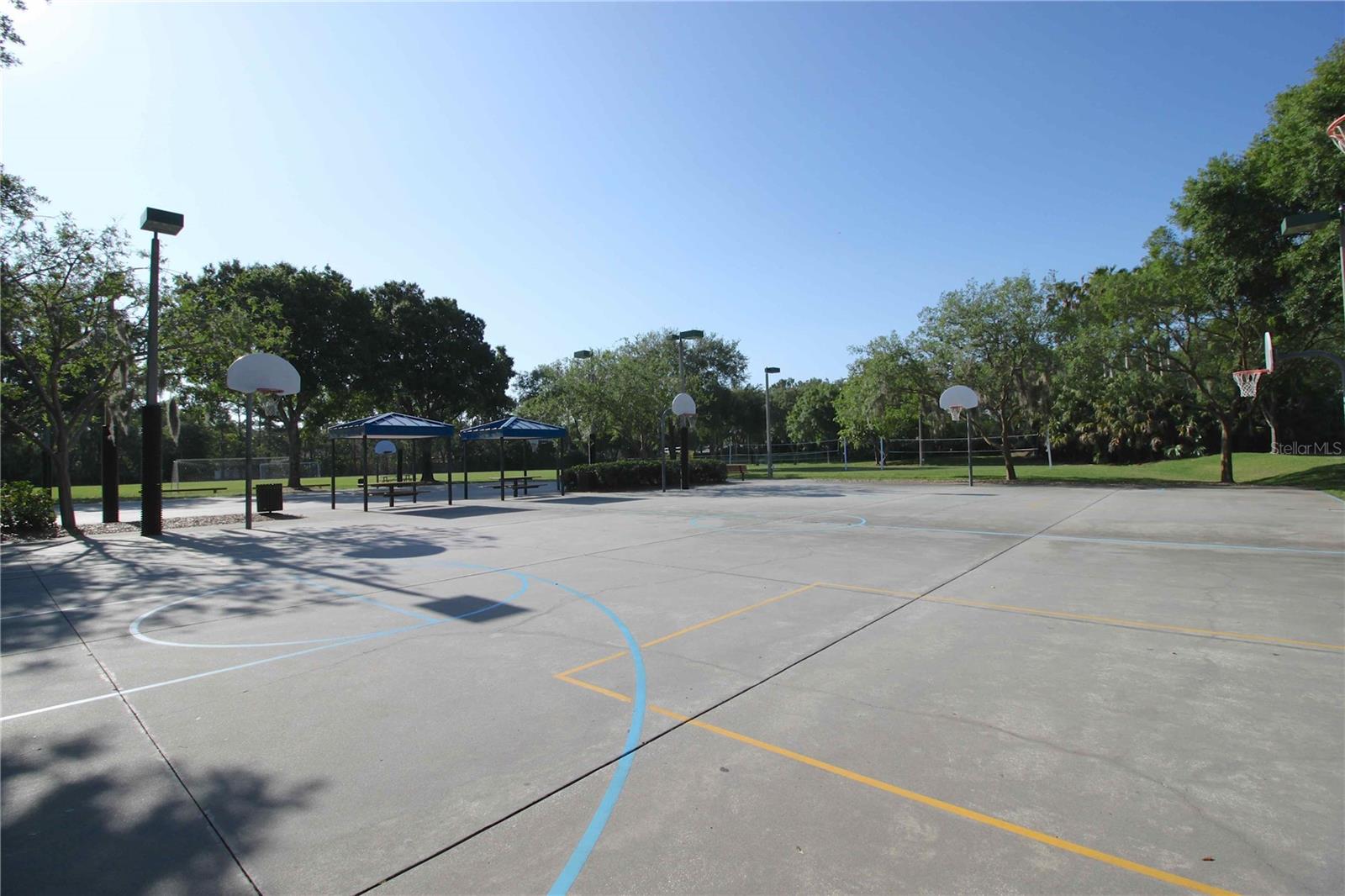 3692 JOHNATHON AVE, PALM HARBOR, FL, 34685