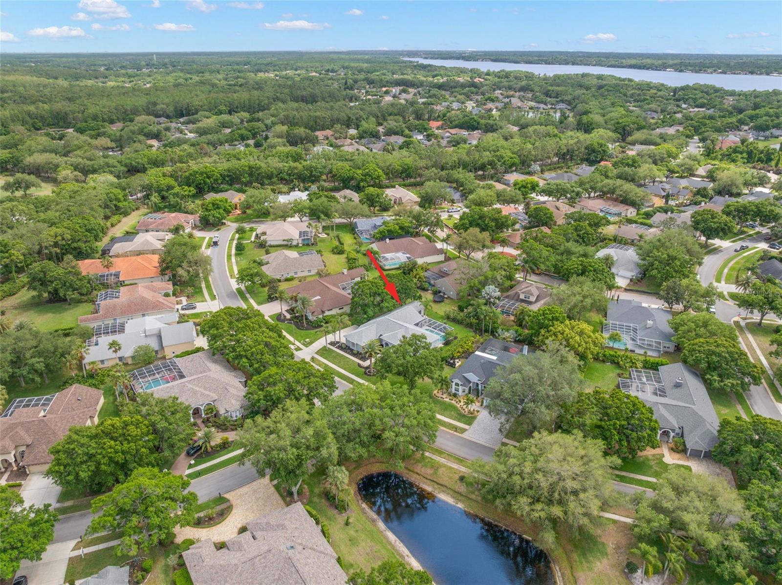 3692 JOHNATHON AVE, PALM HARBOR, FL, 34685