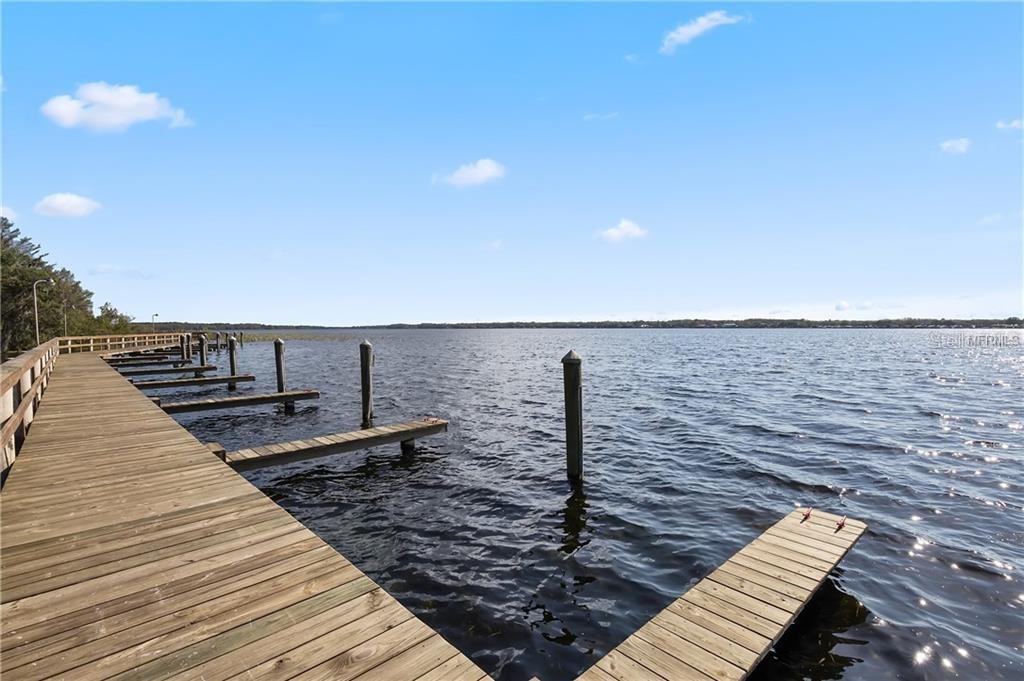 3692 JOHNATHON AVE, PALM HARBOR, FL, 34685