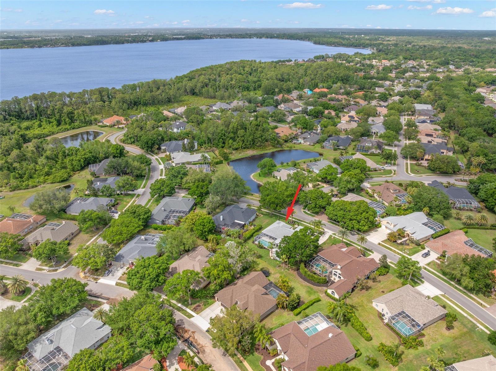 3692 JOHNATHON AVE, PALM HARBOR, FL, 34685