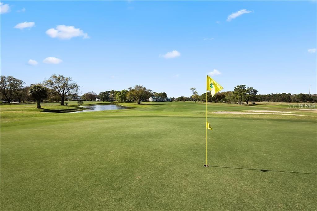 3692 JOHNATHON AVE, PALM HARBOR, FL, 34685