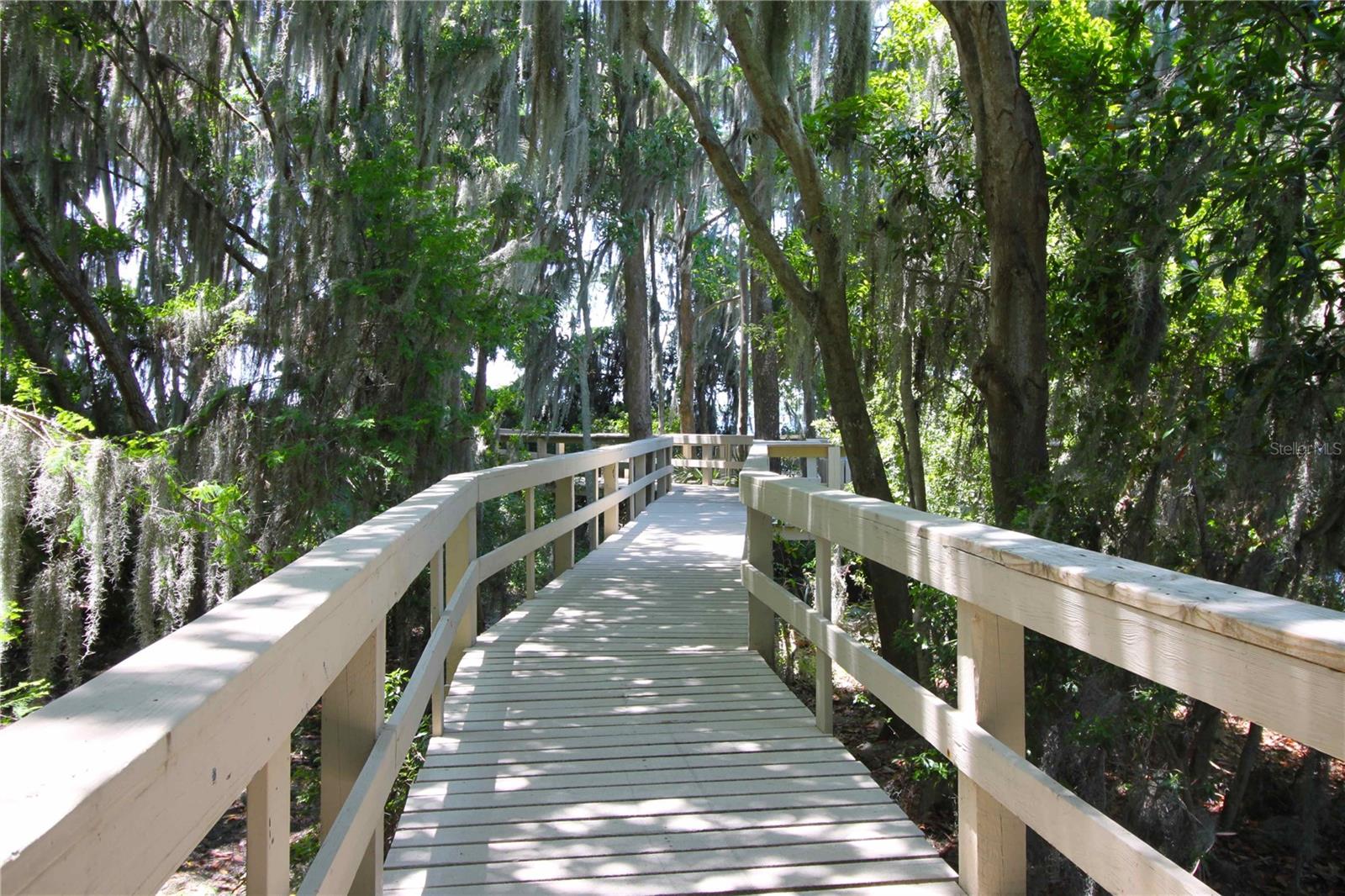 3692 JOHNATHON AVE, PALM HARBOR, FL, 34685