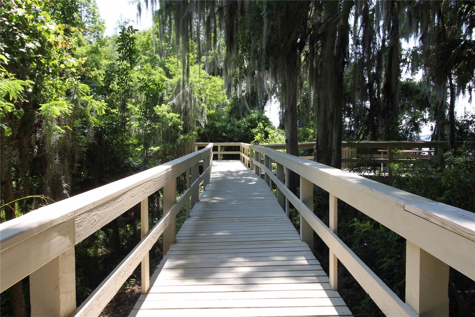 3692 JOHNATHON AVE, PALM HARBOR, FL, 34685