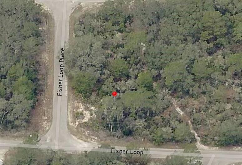 Lot 76 FISHER LOOP, OCKLAWAHA, FL, 32179