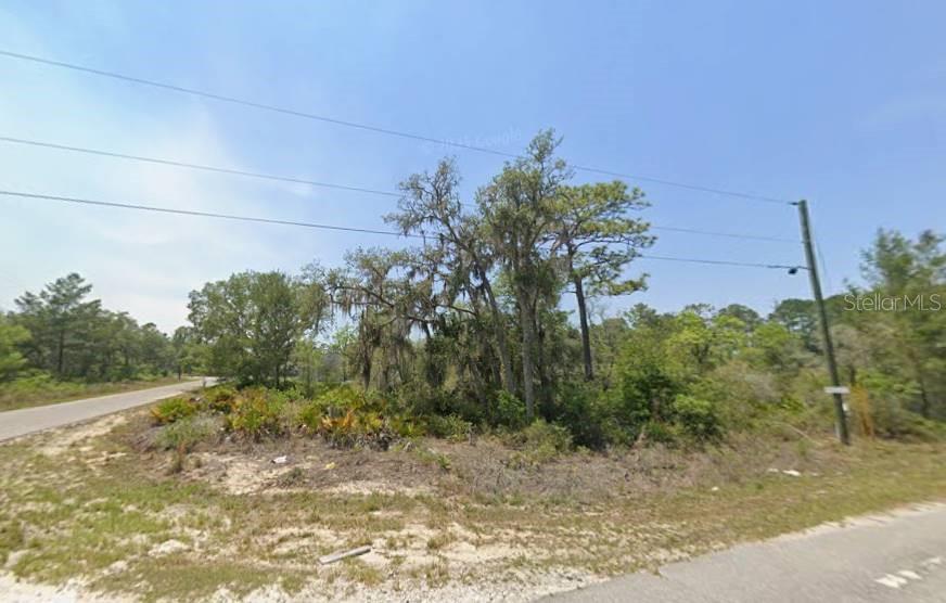 Lot 76 FISHER LOOP, OCKLAWAHA, FL, 32179