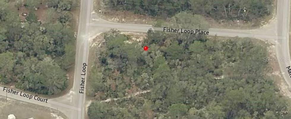 Lot 76 FISHER LOOP, OCKLAWAHA, FL, 32179