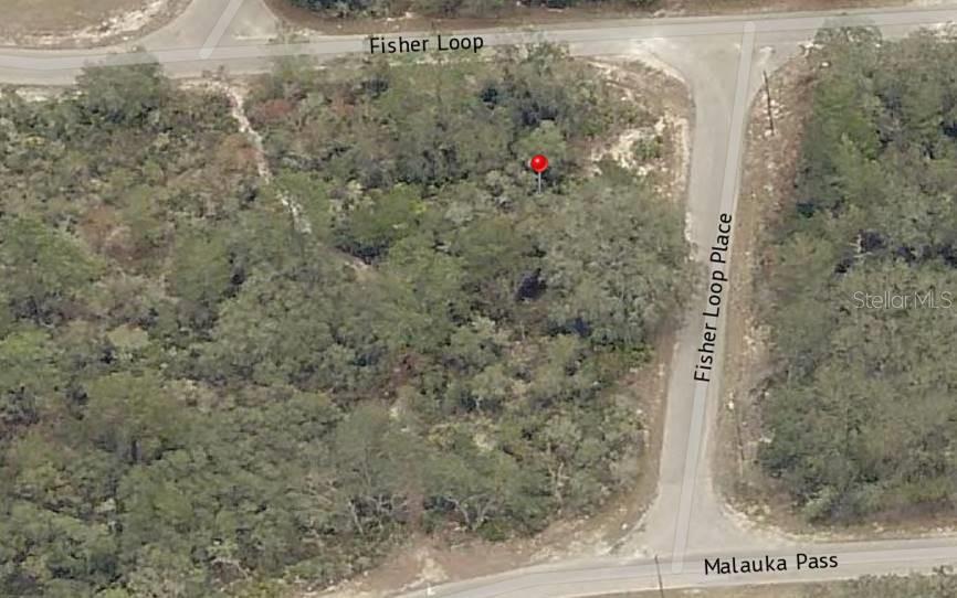 Lot 76 FISHER LOOP, OCKLAWAHA, FL, 32179